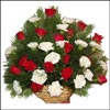 Mesmerised Relations - Click here to View more details about this Product